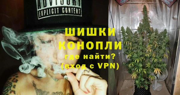 индика Абаза